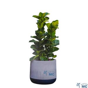 Maceta Match Cylinder Cemento  - Pizarra