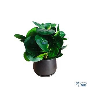 PLANTA ARTIFICIAL EN MACETA CERAMICA  23cm