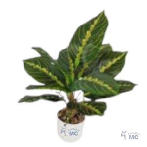 PLANTA ARTIFICIAL ZJ-24048 CATALEA COLOR 46cm. (PFW)