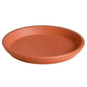 PLATO 16 SIMIL BARRO(PFW)